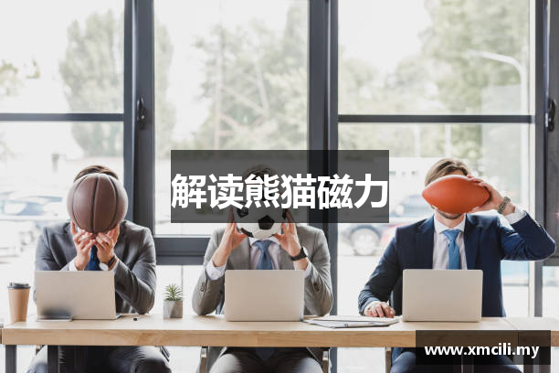 解读熊猫磁力